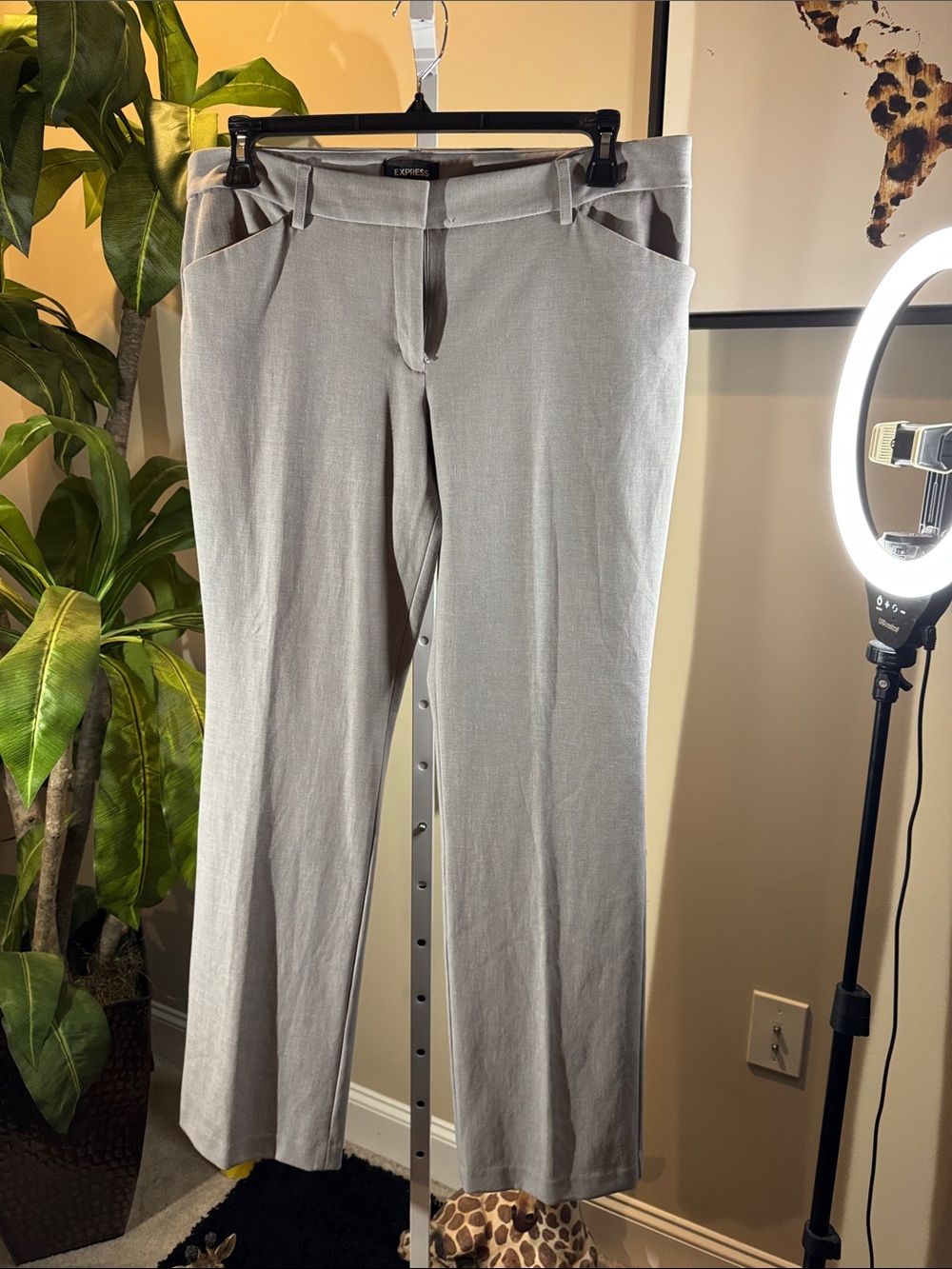 Express Women's Editor’s Light Gray Dress Pants - Classic Fit size 14 R stretch